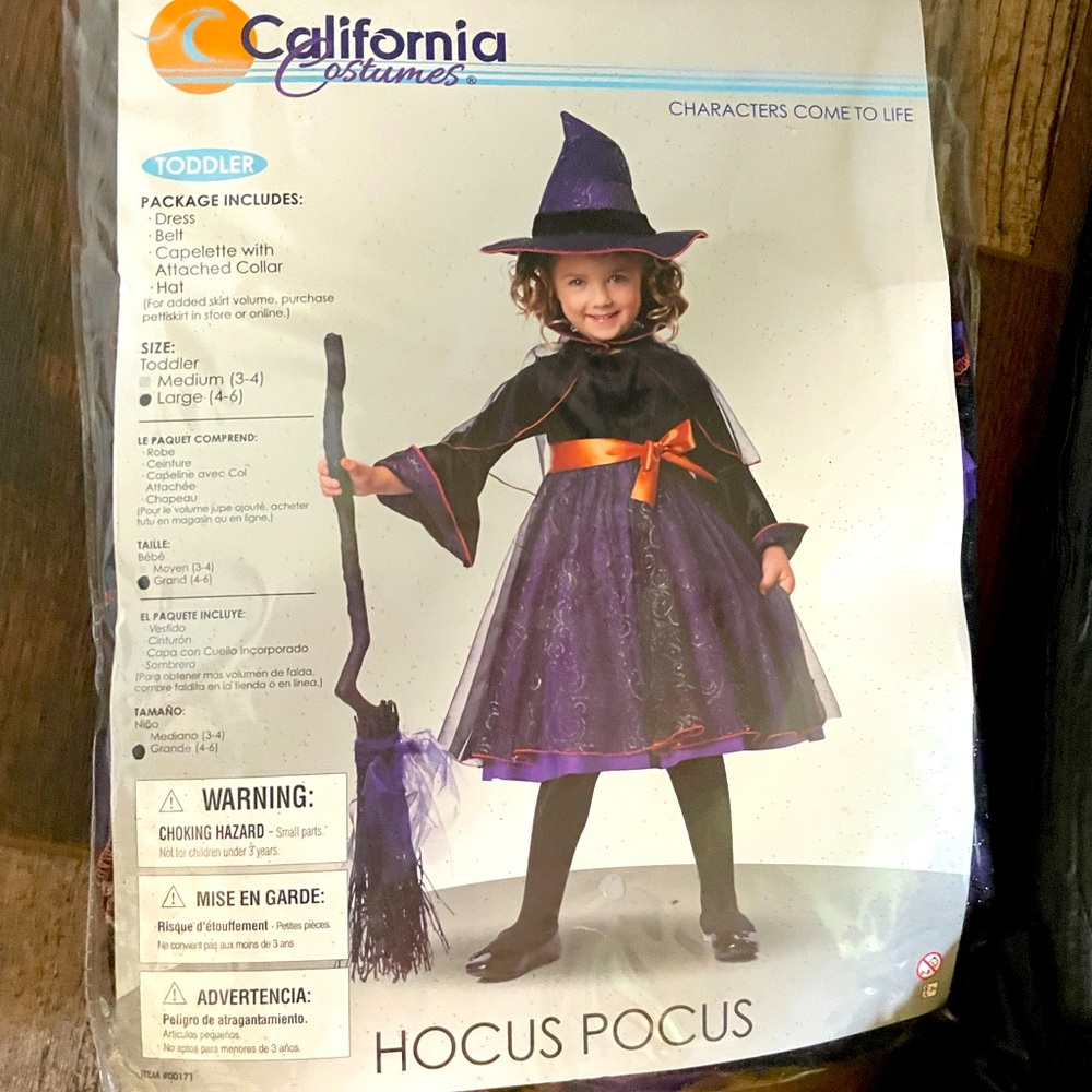 Little Girls (4T-6T) Witch Costume with Broom